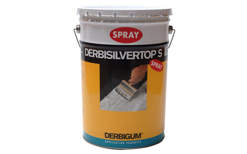DERBISILVERTOP SPRAY Bidon